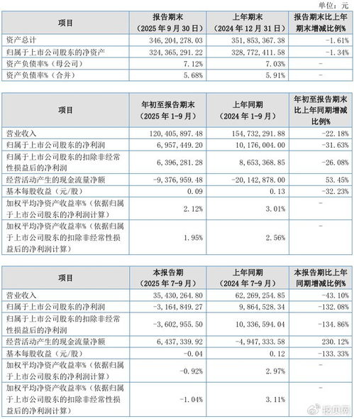 聯(lián)迪信息2025年第三季度凈虧損316.48萬元，內(nèi)銷收入下滑拖累業(yè)績